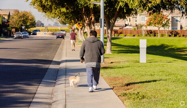 Walk the dogs in one of Crossroads, Riverbank, CA's many parks.