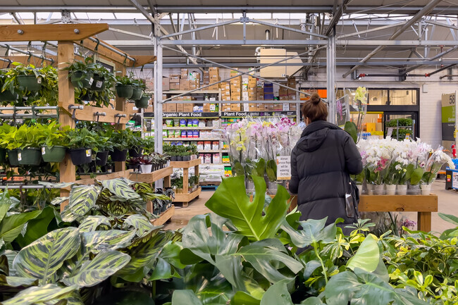 A local flower shop has all the plants you need for your home decor or as a gift.