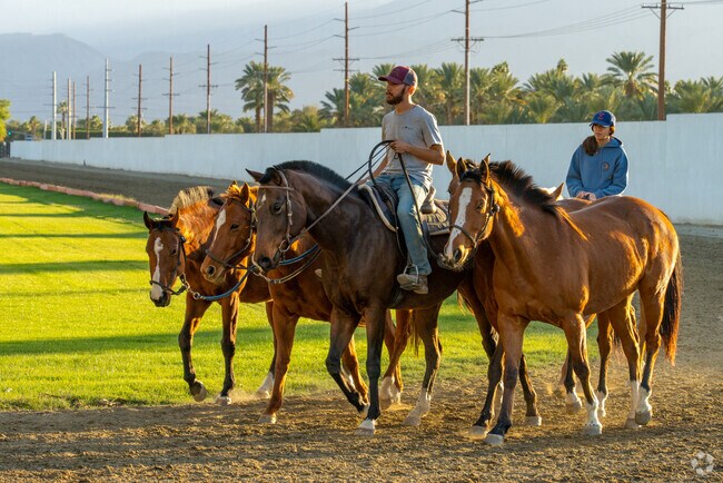 Experience the thrill of horseback riding through Indio City's scenic trails.