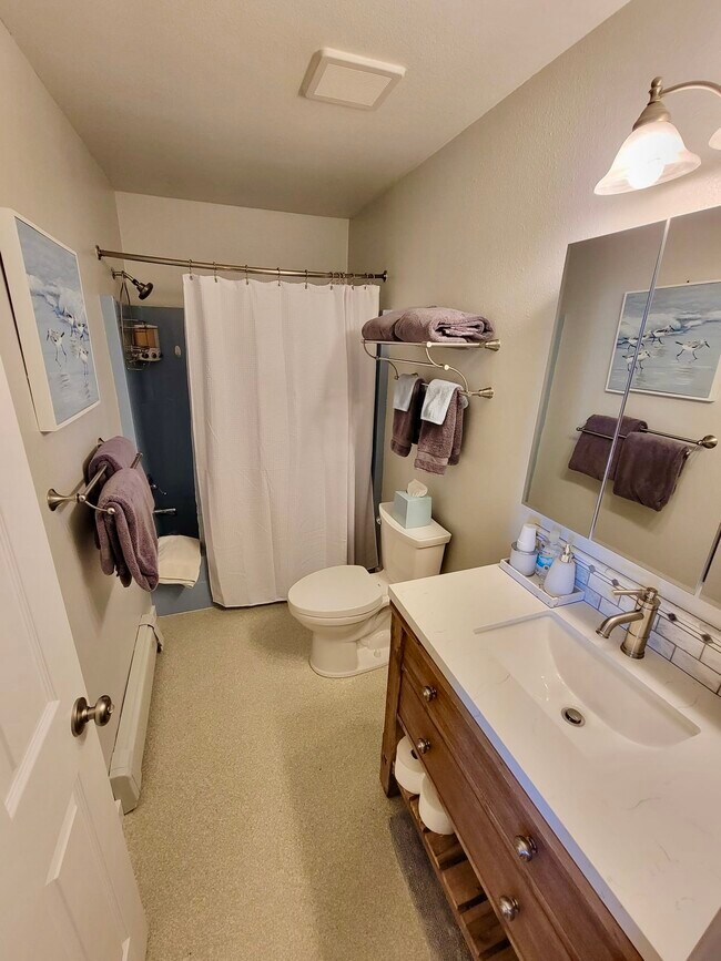 newly remodeled bathroom