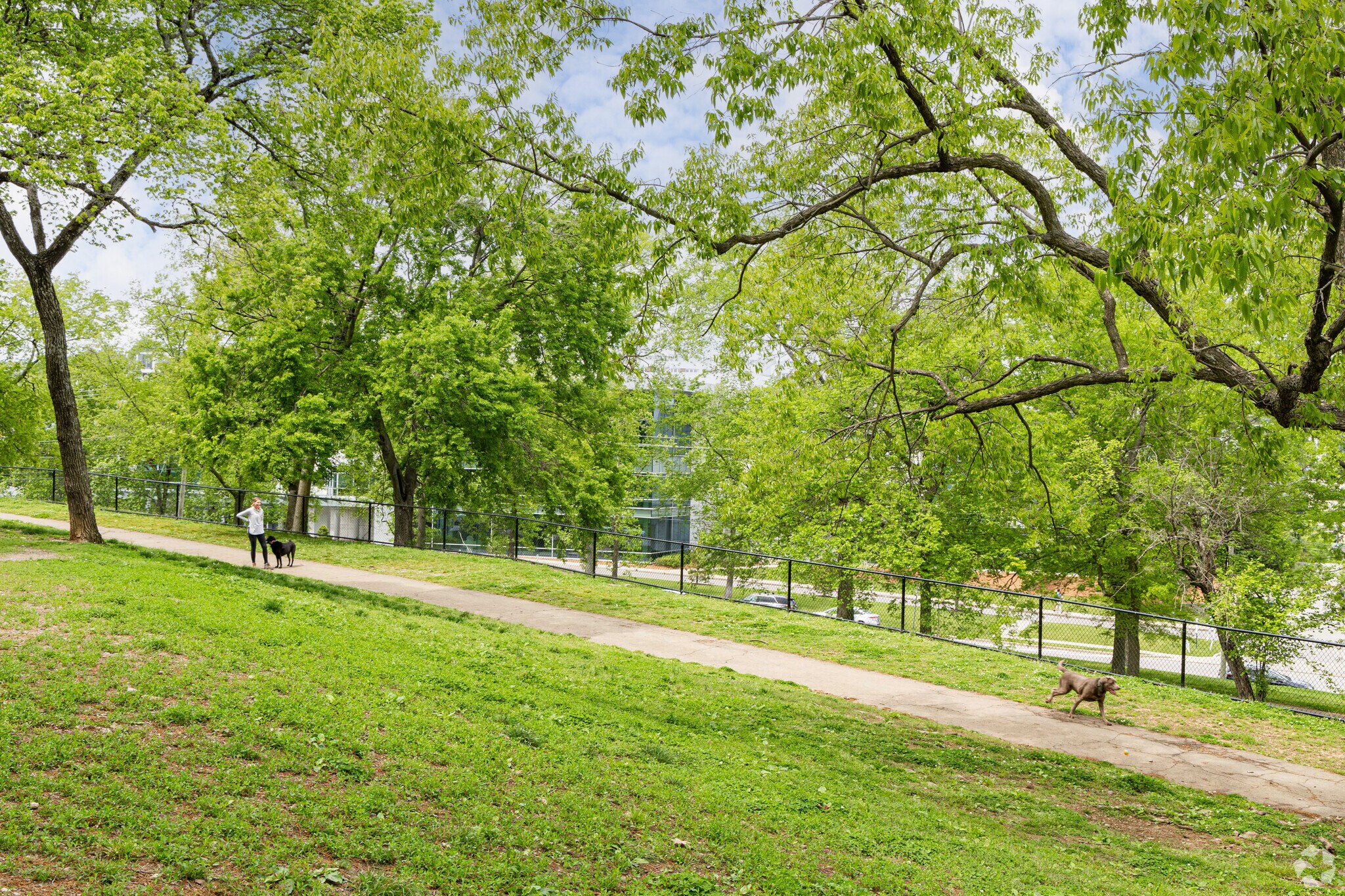 Centennial Dog Park is great place to enjoy some time outside with your dog.