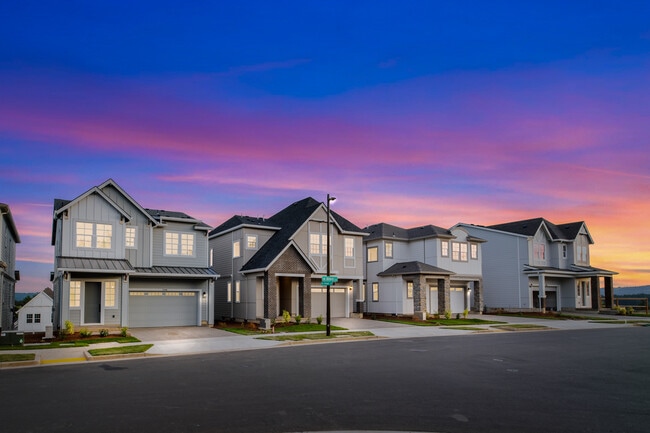 The Vineyard - The Reserve