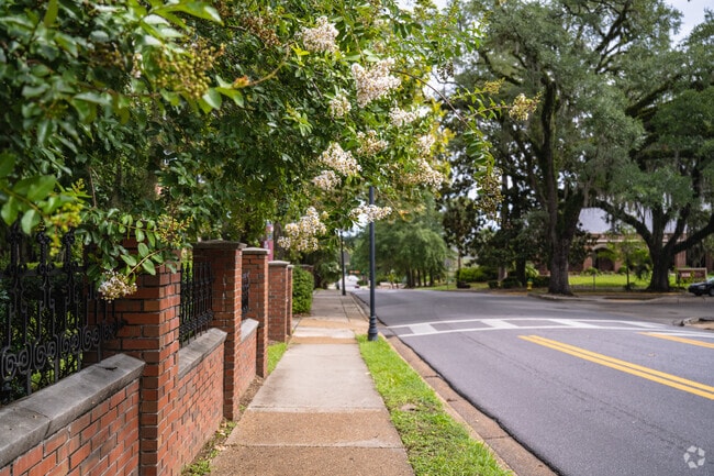 Crepe myrtles bloom across the Florida State campus and the University neighborhood.