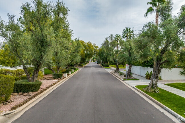 Olive trees and sidewalks line the residential streets of the Alvarado Historic District.