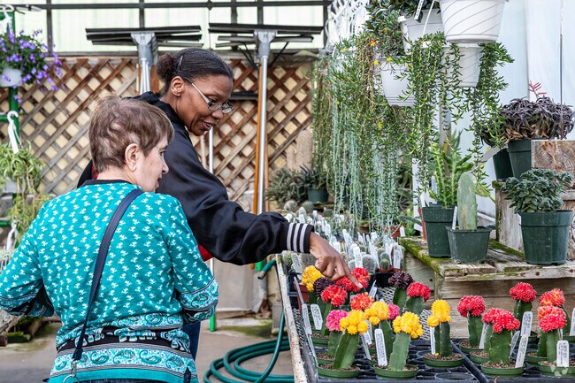 Woodland Gardens in Waddell is the premier nursery & garden center in the Manchester area.