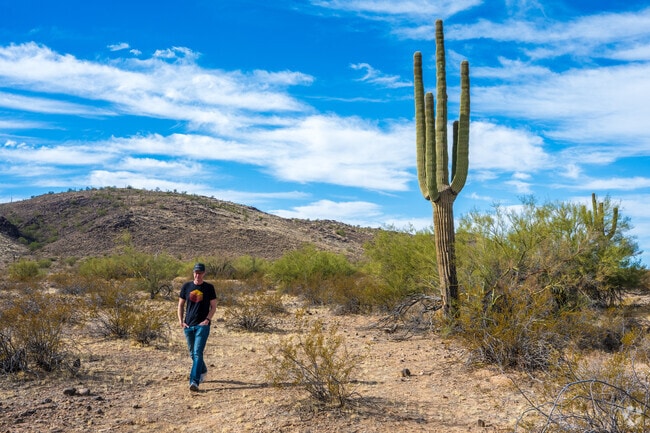 Vistancia locals love the proximity to trails and outdoor spaces.