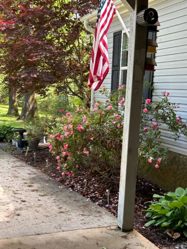 33 T and Ln E, Franklin, NC 28734 - photo 4