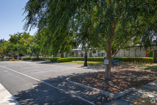 Large shady tree keeps kids on the playground cool at Redlands Adventist Academy.