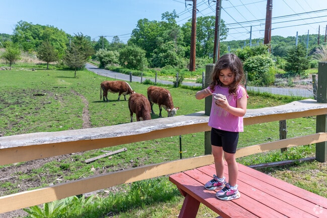 A young resident enjoys ice-cream and the scenic view at Wells Hollow Creamery in Shelton.