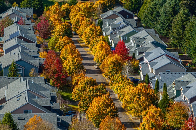 The Seasons neighborhood is stunning as the year goes on.