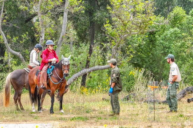 Ride your horse or camp out at the Tapia Park public use area near Agoura Hills.