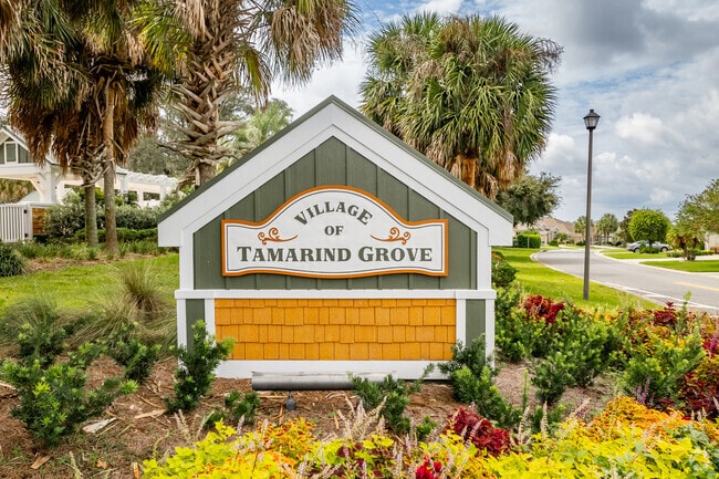 The Village of Tamarind Grove is a small subdivision in the country's biggest 55-plus community.