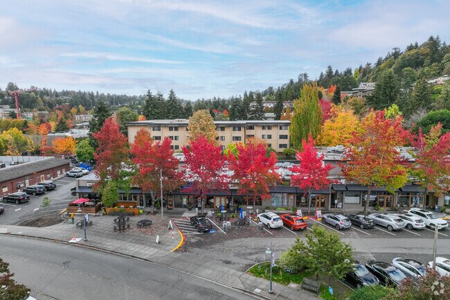 Downtown Mercer Island gets even more colorful when the leaves change every fall.