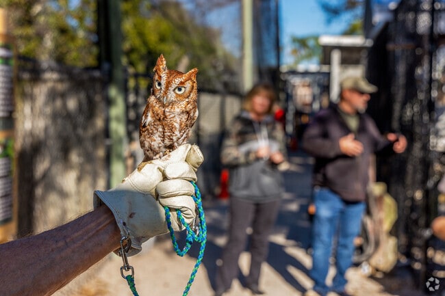 Seaside Seabird Sanctuary in Redington Shores offers a home for rescued birds.