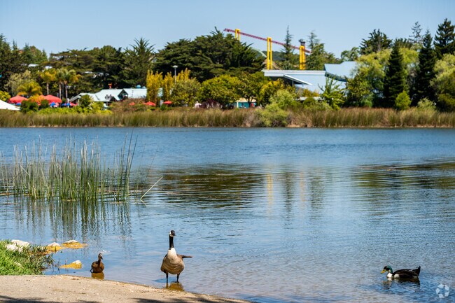 Dan Foley Park has a beautiful view of Lake Chabot.