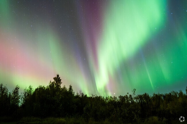 Moose Creek is far from city lights, which makes the area perfect to view the Northern Lights.