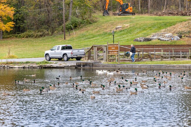 Southampton locals enjoy wildlife at Dykeman Park.