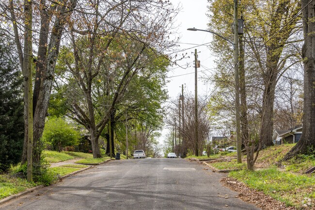 A tree-lined street in the neighborhood.