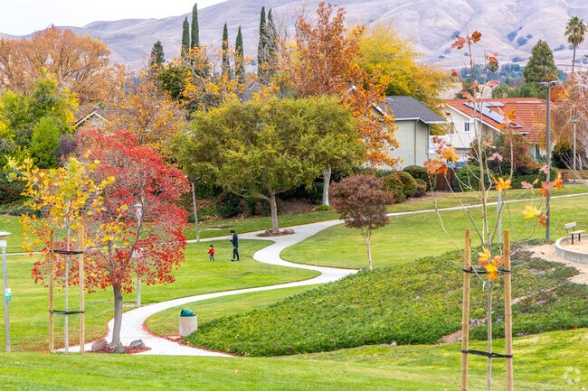 Swinging into endless laughter and friendship at The Crossings Greenbelt in Cowell/Canterbury.