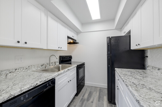 2BR, 1BA - 740SF - Kitchen