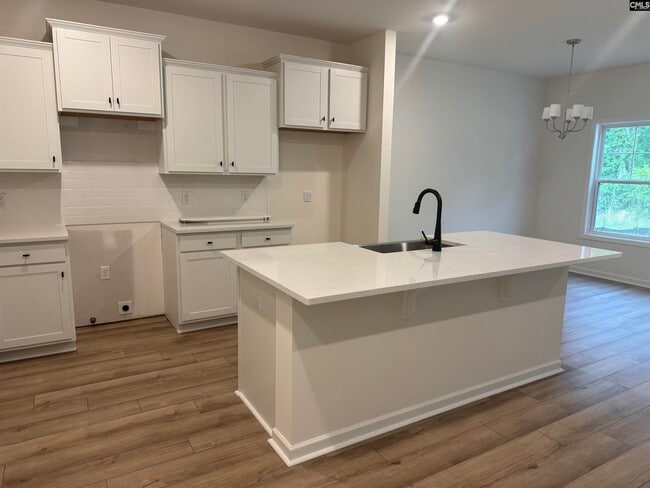 542 Griffon Dr, Chapin, SC 29036 - photo 2