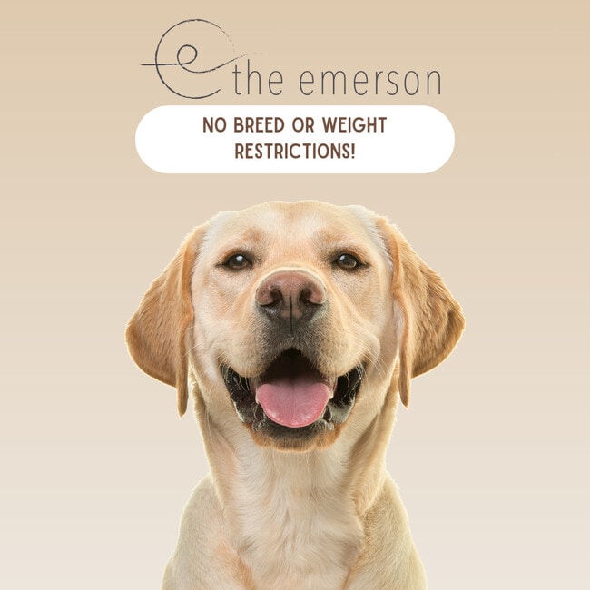 The Emerson, Bowling Green, KY 42104 - photo 4