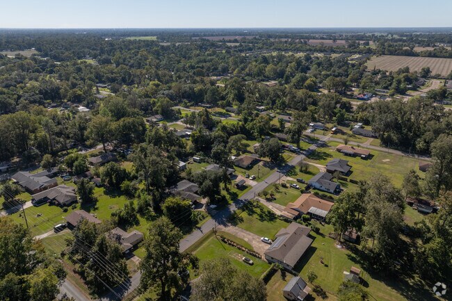 Tree-lined streets and well-kept yards create a pleasant environment for outdoor activities.
