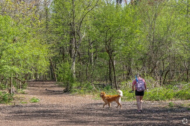 Take a walk with the pups through the fenced-in off-leash area at Big Timber Creek Park.