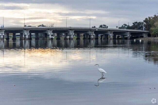 Lakeshore Park is connected to the Marina Lagoon which is home to many birds.