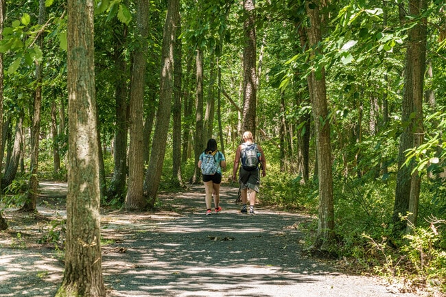 Locals can enjoy a peaceful walk along a shaded trail in Egg Harbor Township Nature Reserve.