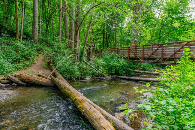 At Kobayashi Park, a gentle stream can be viewed from the bridge crossing.