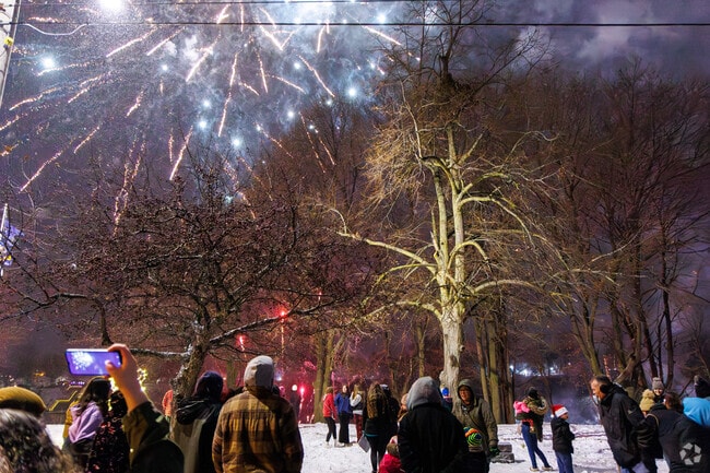 After the switch flips, fireworks go off at the Fulton Tree Lighting Ceremony.
