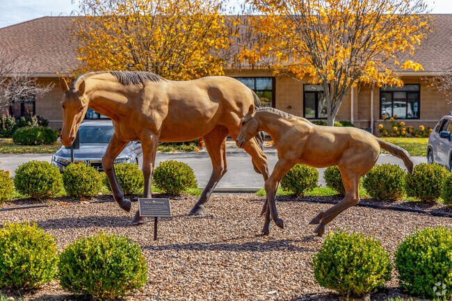 Rood & Riddle equine hospital is only 5 mins from Highlands neighborhood if you have horses.