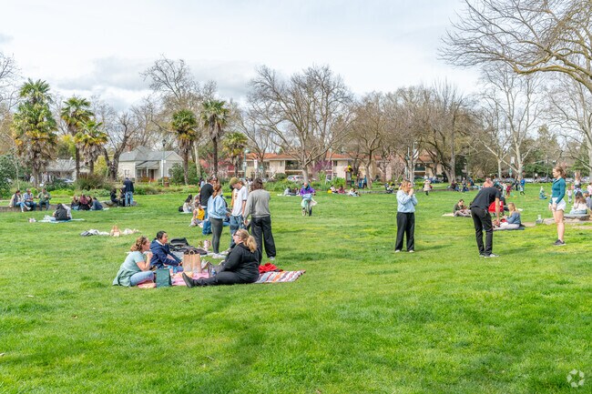 Picnic in Central Park in Downtown Davis.