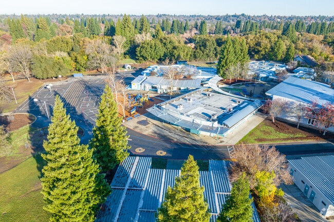 There are many mature trees at Gold River Discovery Center.