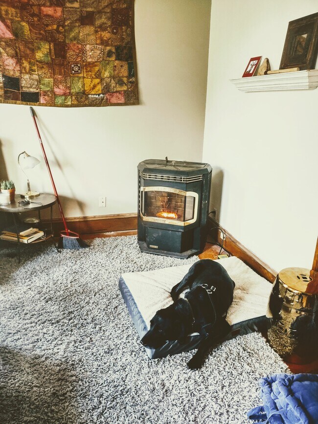 Jackson(who is not with us anymore & the pellet stove in the living room