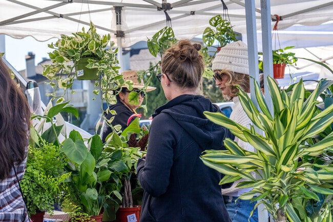 There are many vendors at the Channel Island Farmers Market.