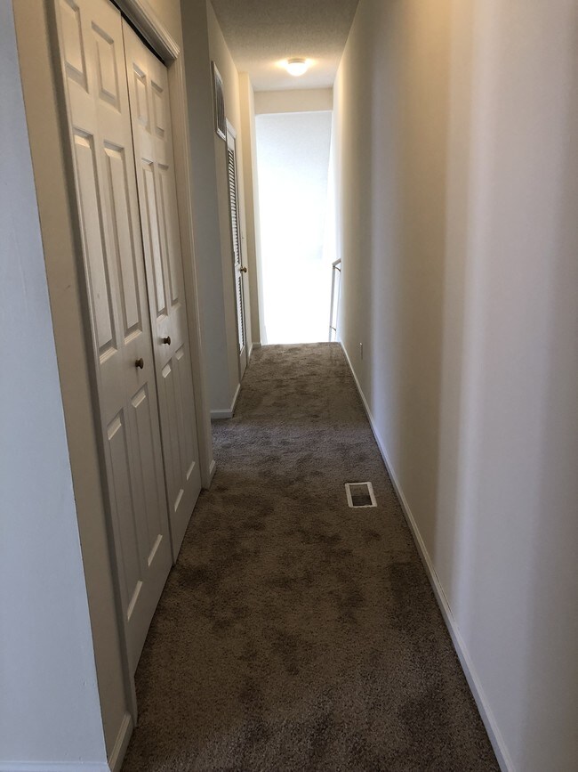 The Hill, Columbia, MO 65203 - photo 6