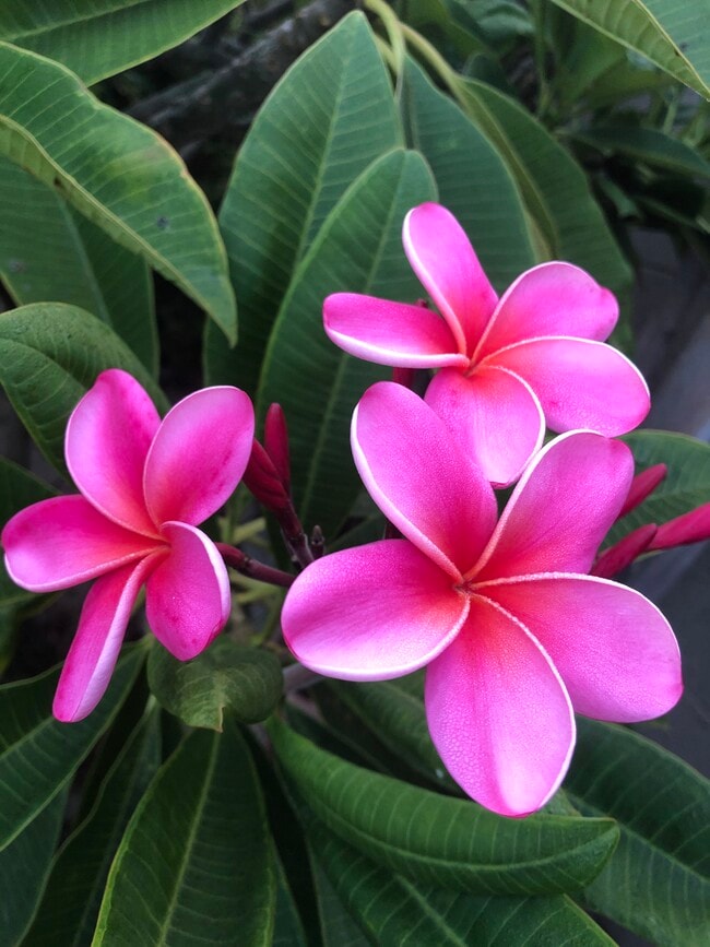 840 W 168th St unit B, Gardena, CA 90247 - photo 2