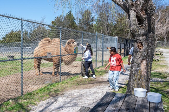 Children of all ages in Bel Air enjoy feeding animals at Tupelo Buffalo Park & Zoo.