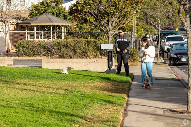 Bolsa Knolls offers open spaces perfect for dog walks and outdoor play.