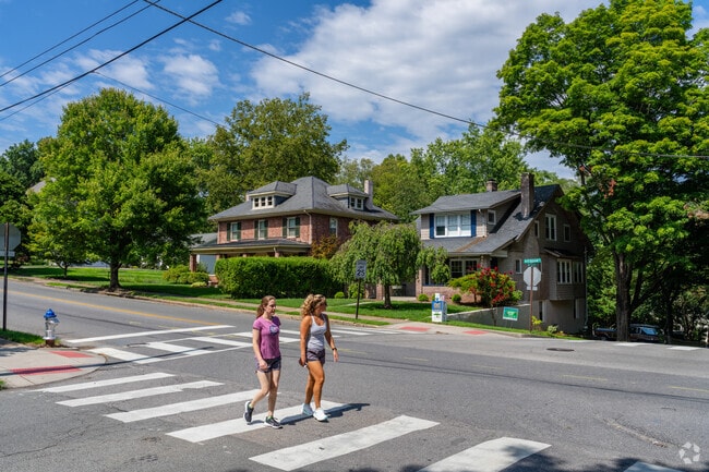 Crosswalks are well seen by South Roanoke neighbors for safe walks in hilly streets.