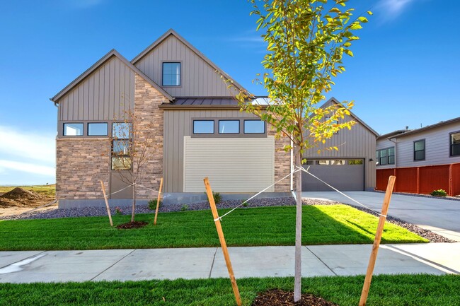 1641 Flourish Ct, Windsor, CO 80550 - photo 2