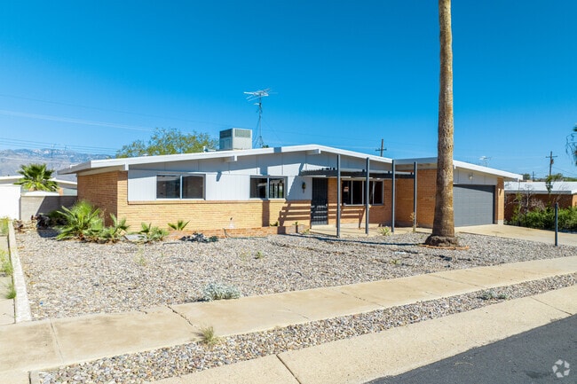 Desert landscaping is most popular in Carriage Park in lieu of traditional grass lawns.