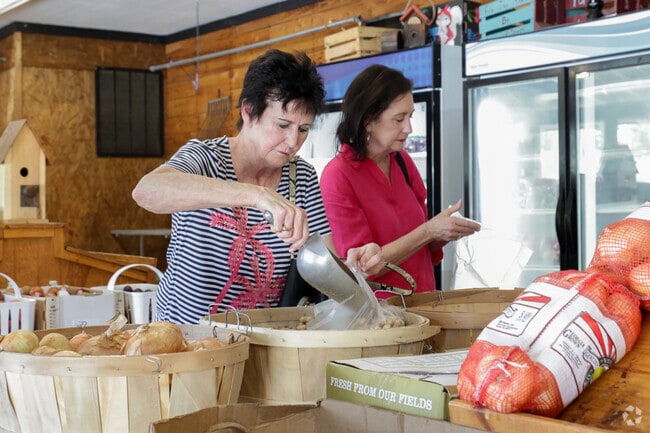 Bradley's Market is a local farm stand, with fresh produce and plants.