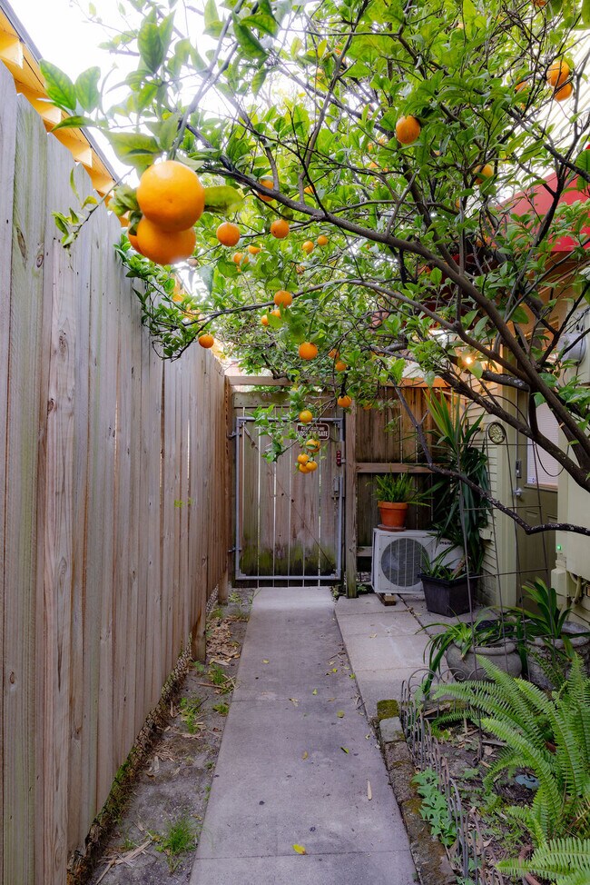 130 S Cortez St unit Japoolzzi Suite, New Orleans, LA 70119 - photo 3