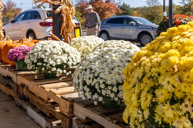 Improve your home's curb appeal in the Fall by picking up some Mums at Fresh Farm Produce.