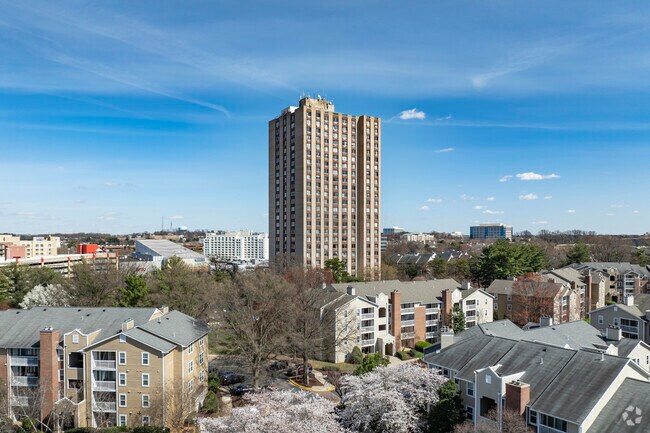 Condos and apartments are among the home options available in Shady Grove.