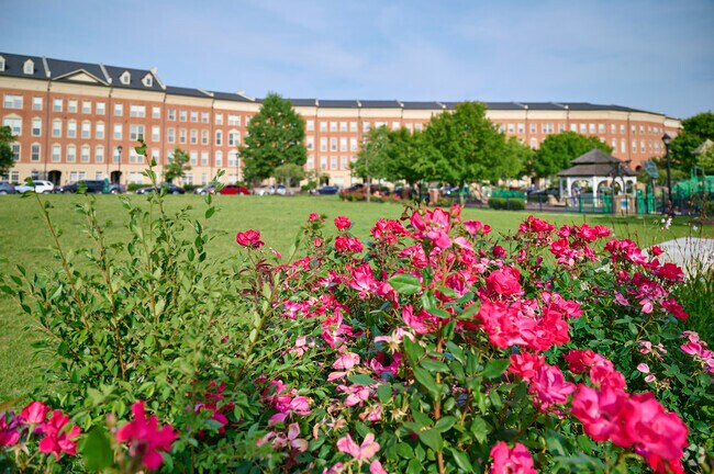 Haymarket’s parks offer nature, recreation, and relaxation for residents of all ages.