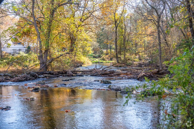 Mianus River State Park in Mid-Country East is a popular attraction on a sunny day.